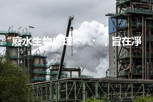 “廢水生物處理，旨在凈化水源，守護碧水藍天”